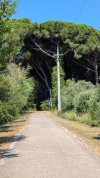 PXL_20250717_080416001.MP.jpg